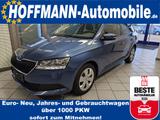 Skoda Fabia Ambition Climatronic,Navi,PDC,SH - gebrauchte Skoda Fabia aus dem Jahr 2021