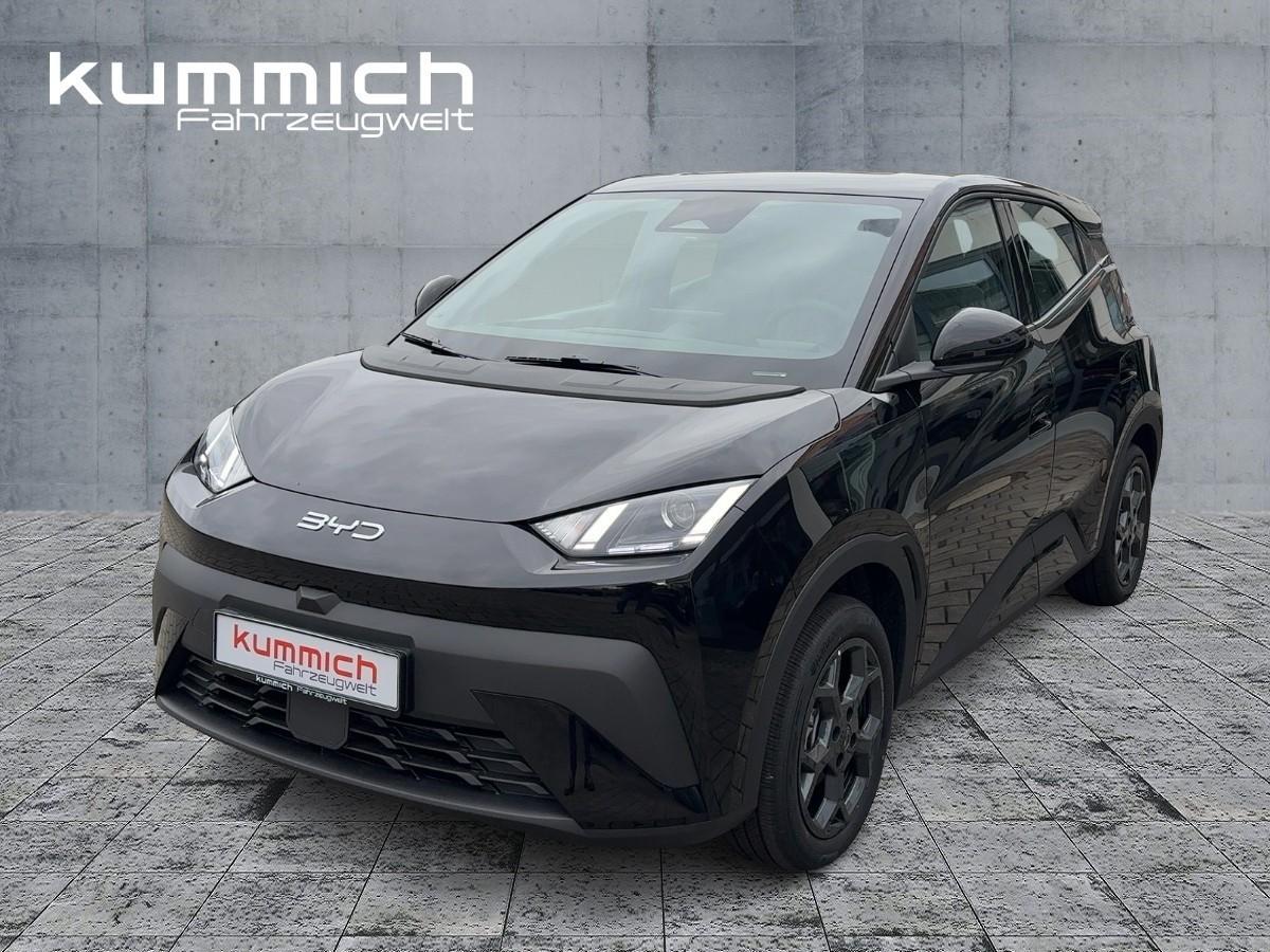 BYD DOLPHIN SURF Boost