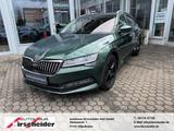 Skoda Superb Combi Premium Edition 4x4*8-fach*AHK*Pano - : Grün, Sitzbelüftung