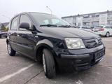 Fiat Panda 1.2 8V Dynamic/Klima/ZV/EFH/ HU neu/ - Fiat Panda: Dynamic