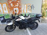 Triumph  Tiger 800, tiefergelegt - Triumph Motorräder in Hamburg