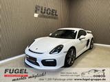 Porsche Cayman 3.8 GT4 Clubsport Clubsportpak.|Vollschal - Porsche: Gt3 Clubsport