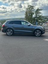 Audi SQ5 3.0 TDI tiptronic quattro - VOLL ausser STHZ - Audi SQ5 in Bonn