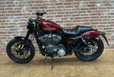 Harley-Davidson XL1200CX Roadster  - Offers