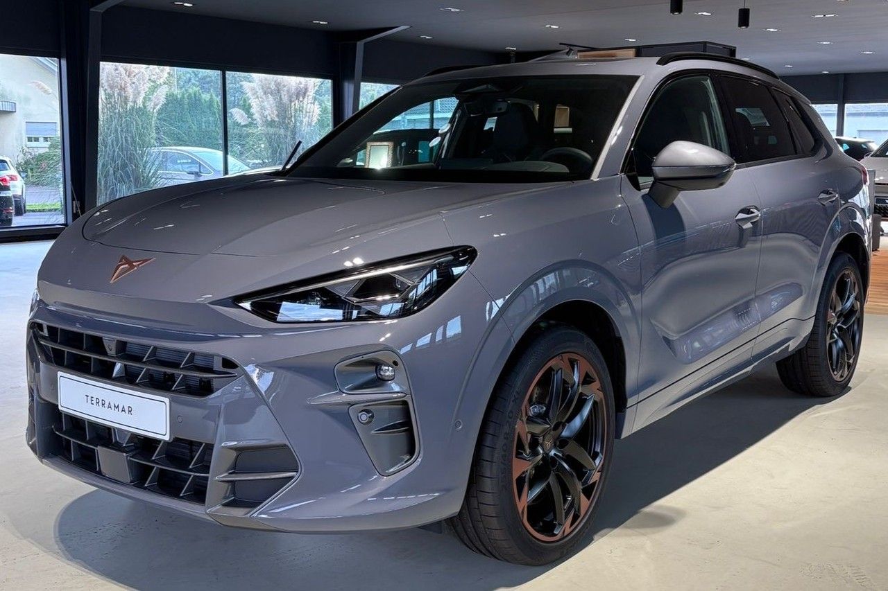 CUPRA Terramar VZ Navi Rückfahrkamera Panoramadach