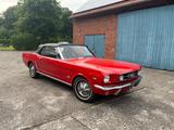 Ford Mustang Cabrio 1965 V8 Liebhaber H-Kennz TÜV NEU - Ford Oldtimer mit Benzin-Antrieb: Cabrio
