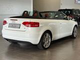 Audi A3 Cabriolet Attraction PDC/SHZ/BOSE/Leder/18" - Audi A3 in Köln
