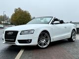 Audi A5 Cabriolet 3.0 TDI quattro 3x S line Xenon B&O