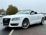 Audi A5 Cabriolet 3.0 TDI quattro 3x S line Xenon B&O
