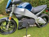 Buell XB9 SX CityX - BUELL XB9