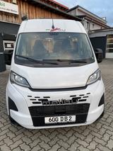 Malibu Van comfort 600 DB  - Malibu Comfort 600 DB