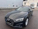 Audi A5 3.0 TDI tiptronic quattro Sportback - - Audi A5 mit Diesel-Antrieb: Limousine, 3.0