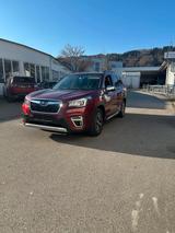 Subaru Forester Comfort - gebrauchte Subaru Forester aus dem Jahr 2021