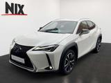 Lexus UX 250h Style Edition KAMERA EPH - Lexus UX: Style Edition