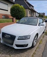 Audi A5 Cabriolet 2.0 TDi exklusive s-line - Audi Cabriolet TDI mit Diesel-Antrieb