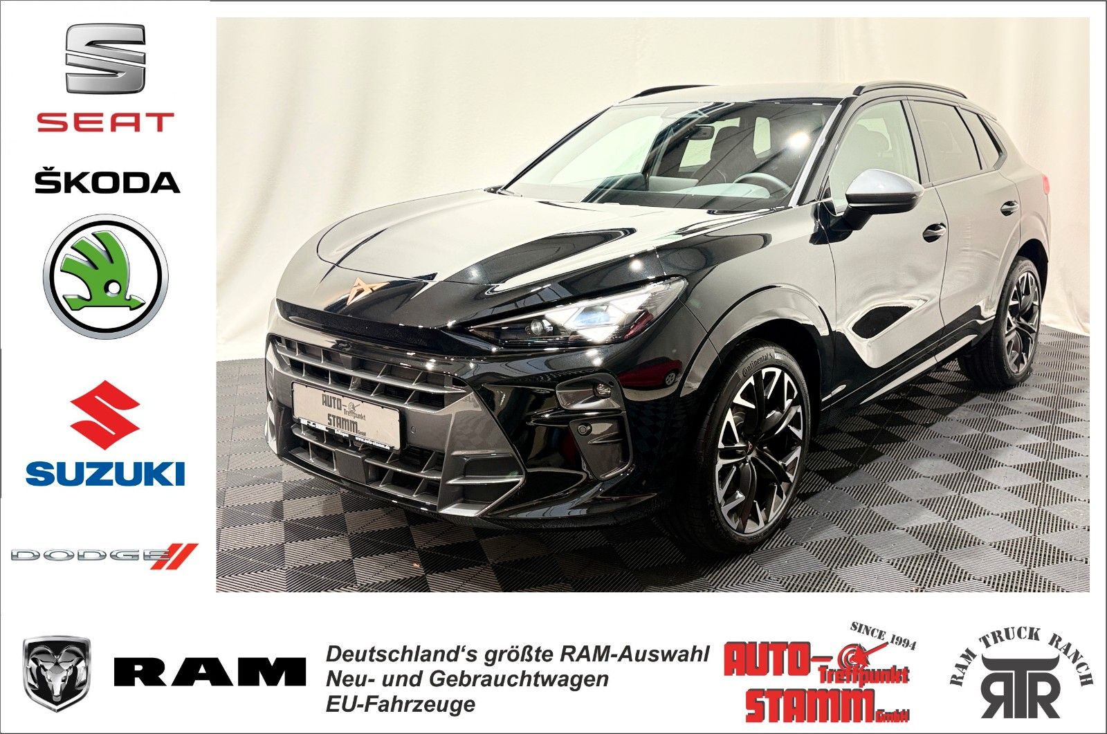 Fahrzeugabbildung CUPRA Terramar 2.0 TSI-4Drive-VZ-AHK-Memory