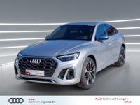 Audi SQ5 - Vorschau Bild 1