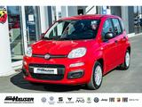 Fiat Pandina ICON Hybrid 1.0 GSE TEMPOMAT PDC LANE 5- - rote Fiat New Panda