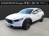 Mazda CX-30 2WD 122PS ACC-LED-Navigation-Head Up-LMF - Mazda: Navigation