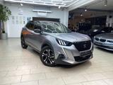 Peugeot 2008 1.2 PureTech Automatik Navi Teilleder Rück - Peugeot 2008: R1