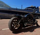 Harley-Davidson Night Rod Special VRSCDX - HARLEY-DAVIDSON VRSCDX NIGHT ROD SPECIAL