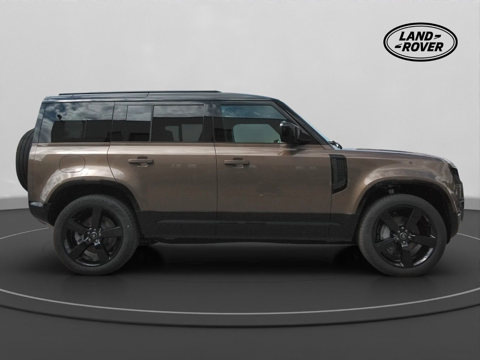 Fahrzeugabbildung Land Rover Defender 110 D300 Dynamic SE