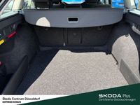 Skoda Octavia - Vorschau Bild 10