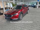 Mazda CX-30 2.0 SKYACTIV-X M Hybrid Selection AWD NAVI - Mazda CX-30 Benzin Gebrauchtwagen