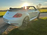 Volkswagen Beetle 1.4 TSI CUP Cabriolet CUP - VW Beetle von privat