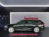 Skoda Octavia Combi 2.0 TDI DSG First Edition LED+NAVI - Skoda in Lünen