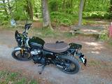 Royal Enfield Bear 650 Golden Shadow - Royal Enfield Bear 650