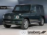 Mercedes-Benz G 400 d Multibeam/SD/AHK/COMAND/Distro/Memory/ - Mercedes-Benz: Comand