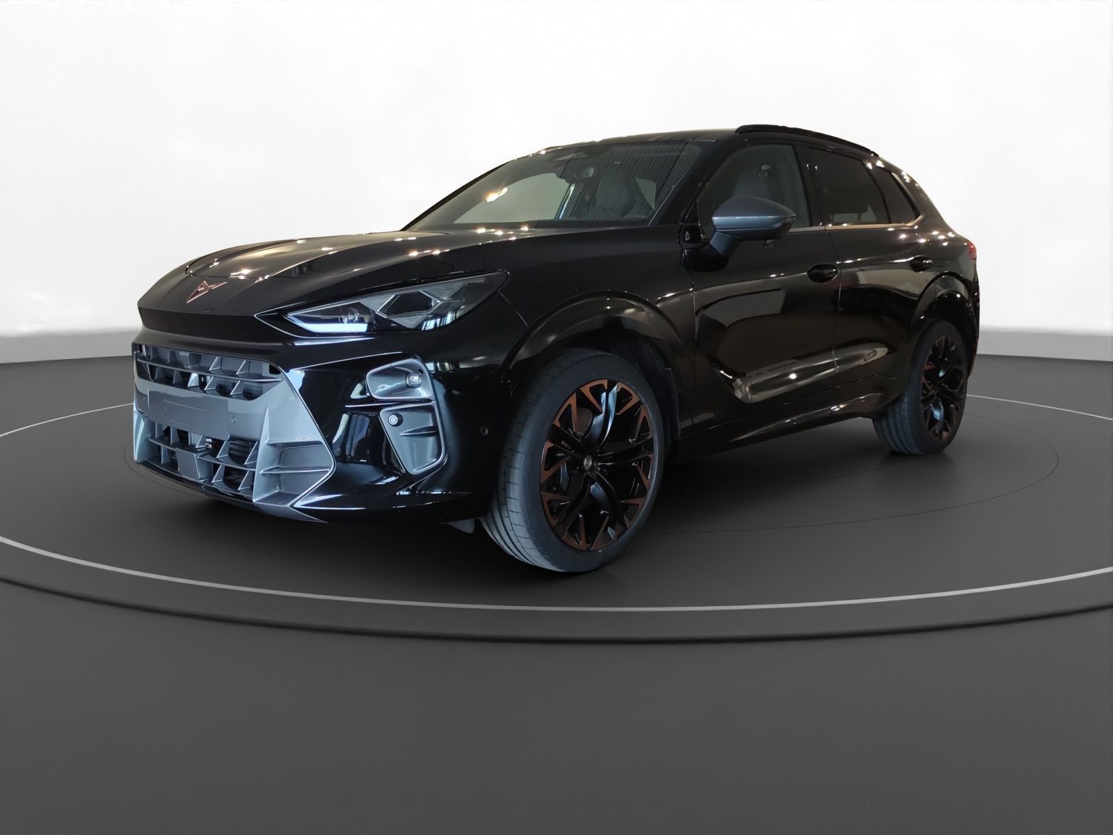 Cupra Terramar - Bild 2