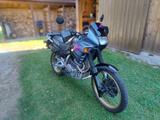 Honda Dominator 650 - Offers