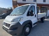 Fiat Ducato Maxi Pritsche-35 130 L3 Pritsche R - gebrauchte Fiat Van