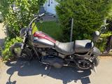 Harley-Davidson Dyna Street Bob FXDB  - Angebote
