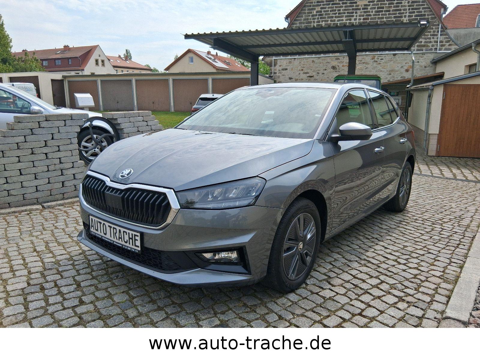 Skoda Fabia Ambition AHK DAB PDC GRA
