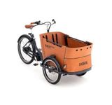 Babboe Curve Mountain, 500Wh Akku, bis zu 4 Kinder - Babboe E-Bikes