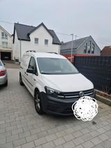 Volkswagen vw caddy maxi  Kasten - Volkswagen Caddy Maxi in Wiesbaden