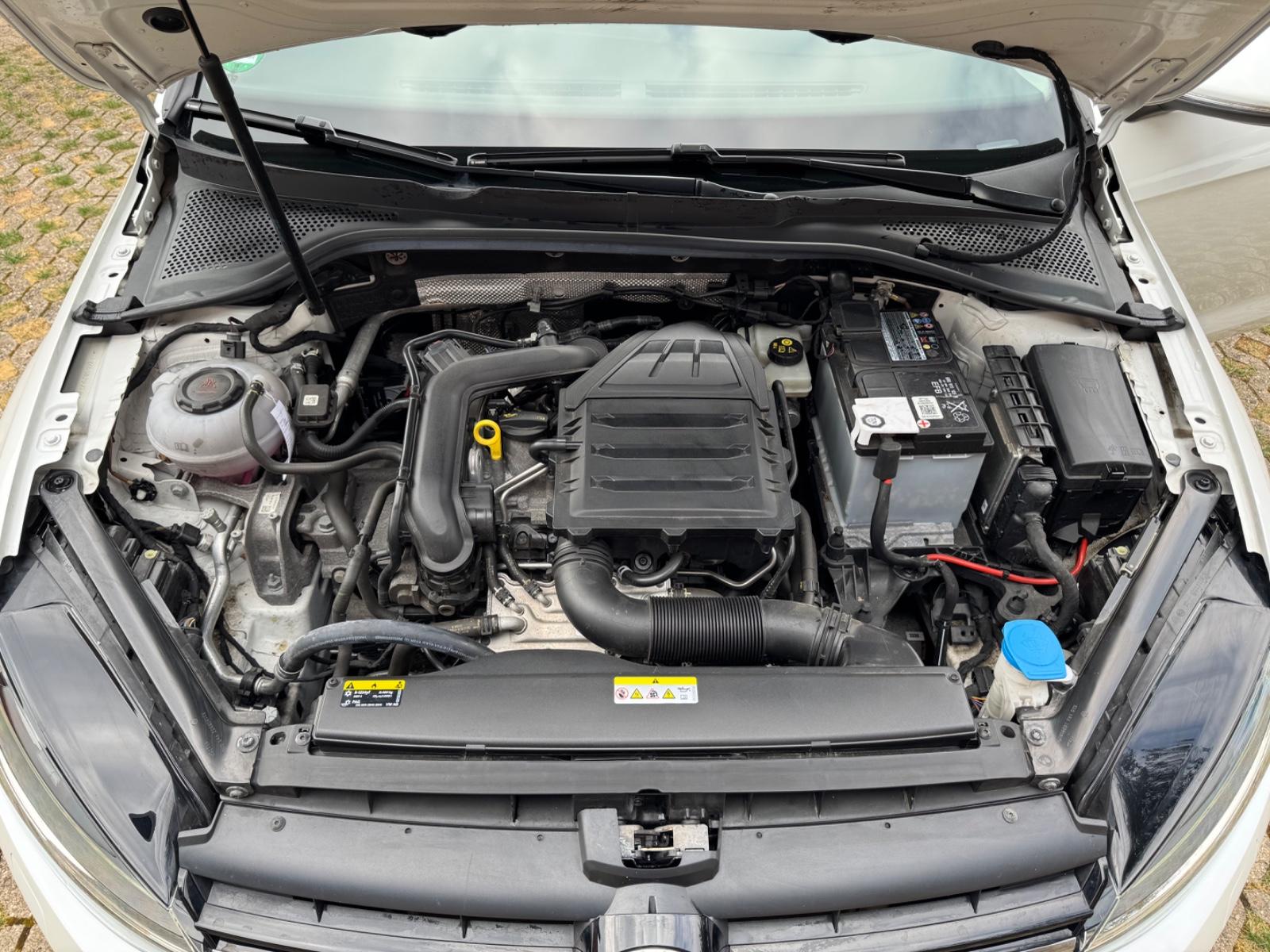 Volkswagen Golf UNITED Variant / Pano. / AHK / Allwetter, миниатюра 14