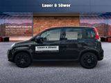 Fiat Pandina Benzin 51 kW (69 PS) City Paket - Fiat Panda Vorführfahrzeuge