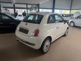 Fiat 500 Lounge TÜV+AU NEU ZAHNRIEMEN NEU - gebrauchte Fiat 500 aus dem Jahr 2007