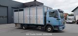 MAN TGL 10.210 1 Stock Viehtransporter - MAN Kipper