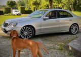 Mercedes-Benz E 320 AVANTGARDE Avantgarde - Mercedes-Benz E 320: Avantgarde