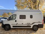 HYMER / ERIBA / HYMERCAR Free 540 mit Aufstelldach - HYMER / ERIBA Kastenwagen