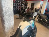 Honda NX500 2026 E-Clutch White *sofort verfügbar* - HONDA CL 500