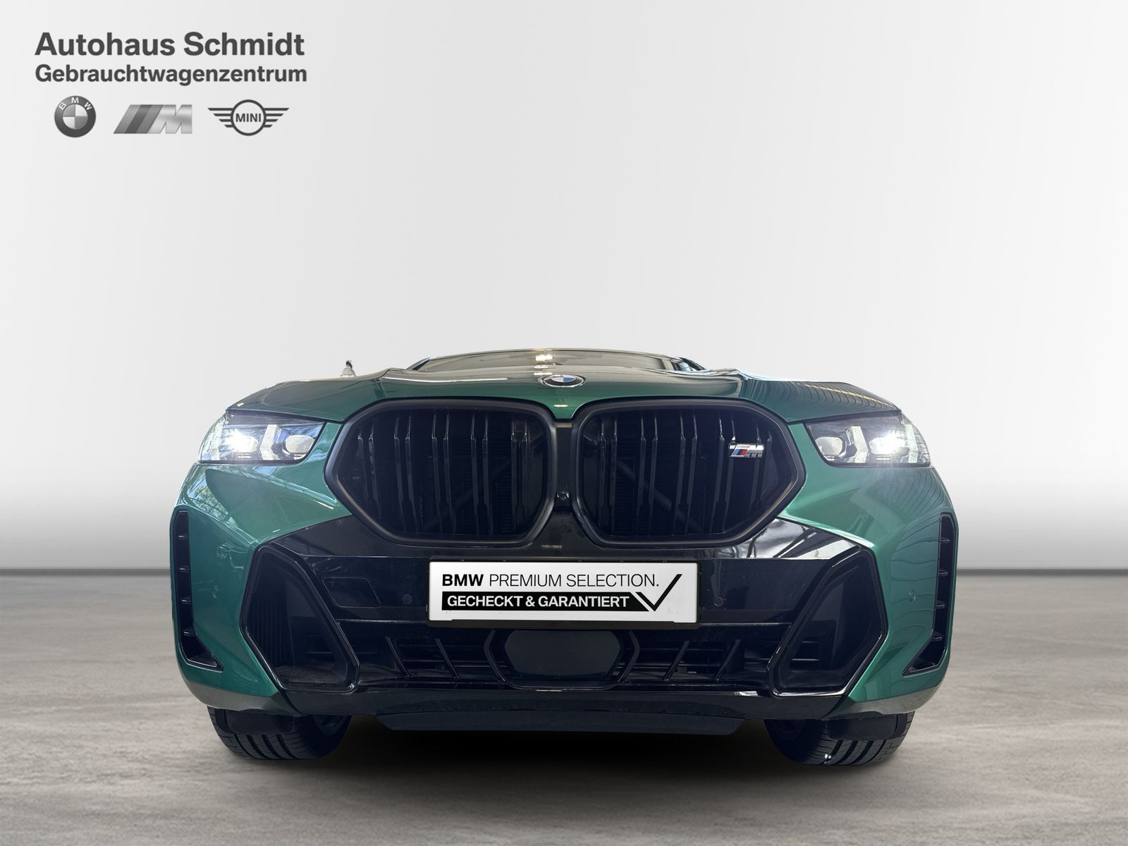 BMW X6 M60 - Bild 7