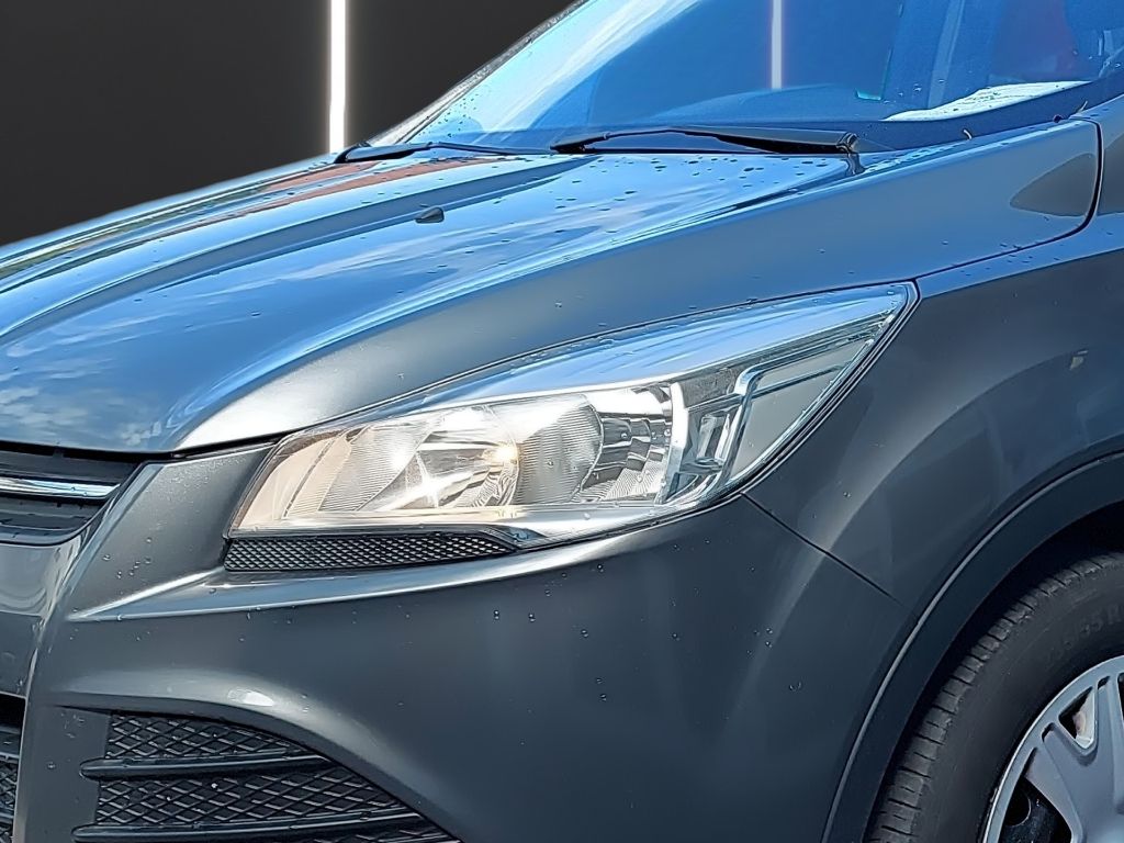 Fahrzeugabbildung Ford KUGA 1.6 TREND 150 PS 6-Gang 2WD