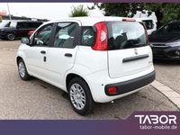 Fiat Panda - Vorschau Bild 4