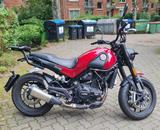 Benelli Leoncino 500 - BENELLI LEONCINO